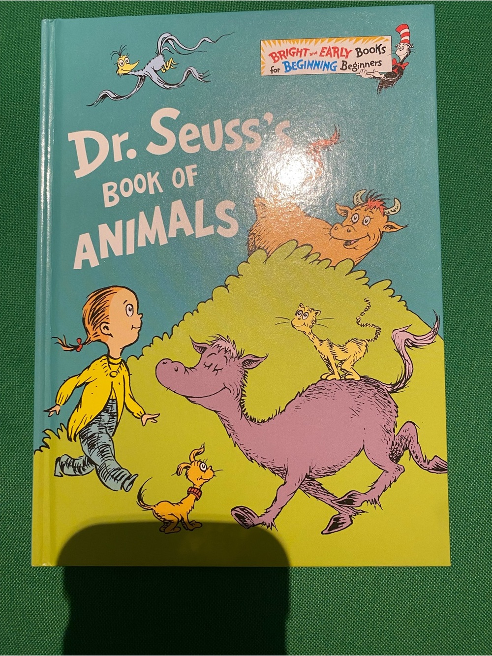 Dr. Seuss Teal & Yellow Children's Picture Book Pair - Picture 10 of 15